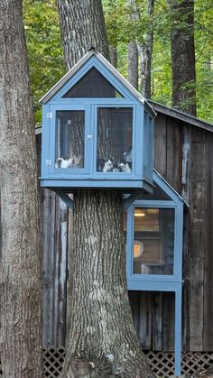 a tree house built into the side of a tree