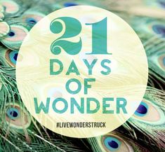 "As followers of Jesus, we have the opportunity to live each day in wild amazement of God. If we pay attention, we can begin discovering the wonders all around us—those moments of spiritual awakening that spark our curiosity to know God more." Margaret Feinberg - See more at:  👍 The 21 Days of Wonder Challenge 💯 Awe And Wonder, Intentional Life, Giving Gifts, Grow In Grace, Women's Ministry, Family Ideas, Human Resource