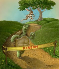 a turtle crossing a race track with a person running behind it and an animal flying over the finish line