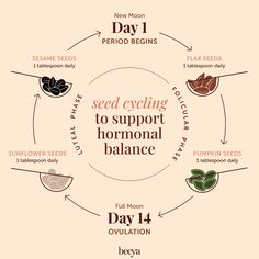 Seed Cycle, Hormone Diet, Womb Healing, Hormonal Balance, Feminine Health