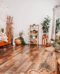 a living room with wooden floors and plants on the wall, potted plants in baskets