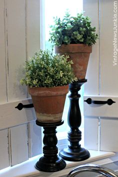 two potted plants sitting on top of a kitchen counter