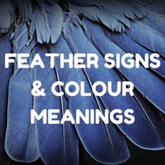 Beautiful article on #FindingFeathers - the #spiritual meaning of #feathers as #FeatherSigns & #FeatherColour meanings. #feathers #feathersynchronicities #feathercolours #feathercolourmeanings #spiritualmeaningoffeathers #spiritualfeathers #featherfinds #angelfeathers #angelsigns Meaning Of Feathers, Colour Meanings