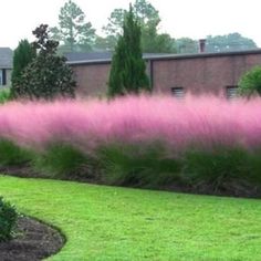 pink flowers are in the foreground and green grass on the other side of the building