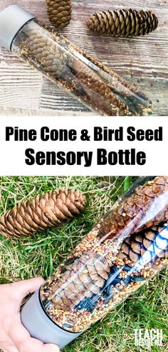 pine cone and bird seed sensor bottle is shown in the grass