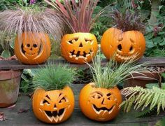 four pumpkins with faces carved into them sitting on a wooden bench in front of some plants