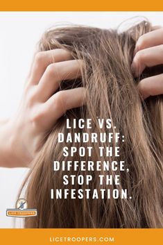 Before you panic and begin running to the pharmacy for every chemical and treatment in the store, we should talk about the difference between lice and Dandruff. After all, education is half the battle when it comes to combating and preventing the lice infestation. #dandruff Begin Running, How To Treat Lice, Lice Remedies, Lice Shampoo, Lice Prevention, Florida Ocean, Lice Removal