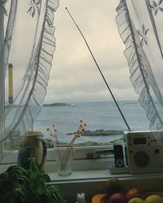 an open window overlooking the ocean with flowers in a vase and radio on a table