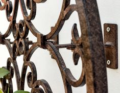 a close up of an iron fence with green plants growing on the wall behind it