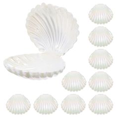 six seashells are shown in white against a white background