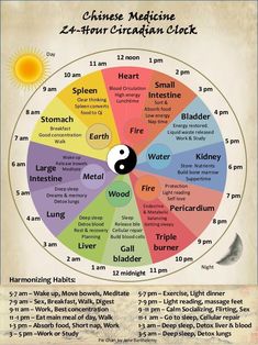 Meridian Clock, Chinese Body Clock, Energy Movement, Chi Energy, Body Clock, Qi Gong