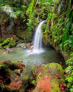 a small waterfall in the middle of a jungle with people swimming and playing around it