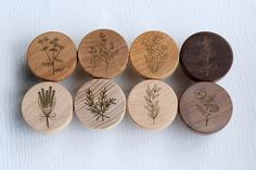 six wooden magnets with different types of flowers and herbs engraved on the backs of them