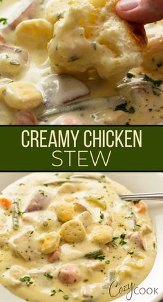 creamy chicken stew with oyster crackers on top Crock Pot Creamy Soup Recipes, Chicken And Biscuits Stove Top, Meals When Your Sick, Stove Top Soup Recipes, Creamy Chicken Stew, Slower Cooker, Chicken Stew Recipe, Cozy Cook, Cozy Soup