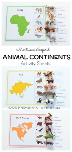 an animal continent activity sheet with animals on it