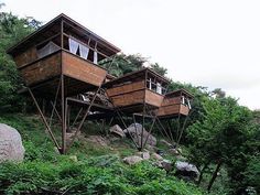 two wooden houses on stilts in the middle of trees and rocks, with green vegetation surrounding them