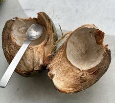 two coconuts and a spoon on a table