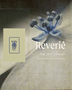 the front cover of reverie fine art florals, featuring a blue flower with white petals