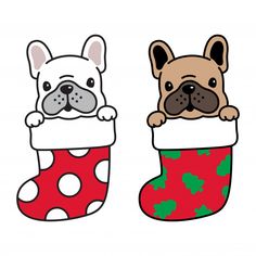 two dogs peeking out of a christmas stocking, one is brown and the other is white