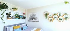 a bed with pillows and plants on the wall above it, along with other decorations