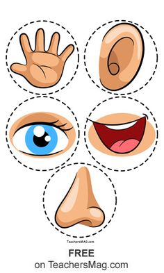 four different facial expressions with the eyes and hands on each face, including an eyeball