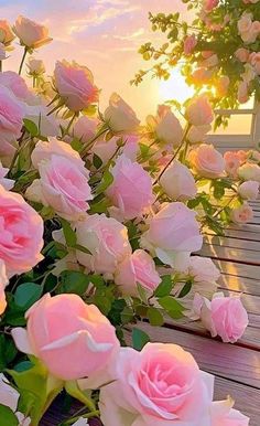 pink and white roses are on a wooden deck near the ocean at sunset or dawn