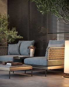 a living room filled with furniture next to a plant