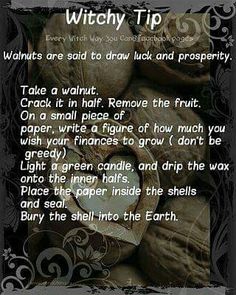 Witchy tip walnuts - Pinned by The Mystic's Emporium on Etsy Stop by my Shop www.etsy.com/shop/teolddesign Money Spells That Work, Witch Board, Money Spell, Wiccan Witch