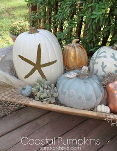 some pumpkins are sitting on a tray with shells and starfish decorations around them