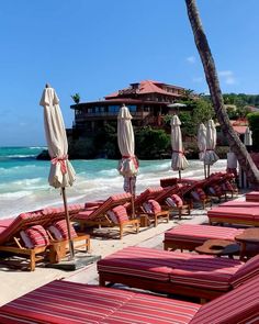 lounge chairs and umbrellas are lined up on the beach