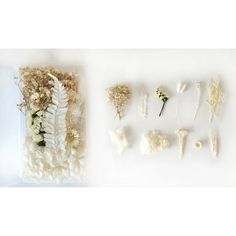 several different types of flowers and plants in plastic bags next to each other on a white surface