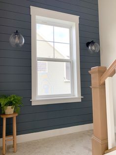 an empty room with blue walls and white trim on the windowsill, along with a plant