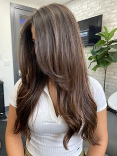 Rambut Brunette, Brunette Ombre, Brown Hair Looks, Brown Hair Inspo, Brunette Balayage, Brunette Hair With Highlights, Hairstyles For Layered Hair, Brown Hair Balayage, Haircuts Straight Hair