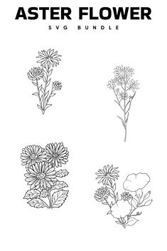 four different flowers are shown in black and white, with the words aster flower above them