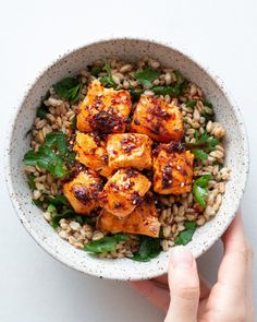 someone holding a bowl filled with rice and tofu