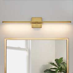 a bathroom with a potted plant in the corner and a mirror on the wall