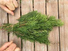 someone is cutting grass with scissors on a wooden table