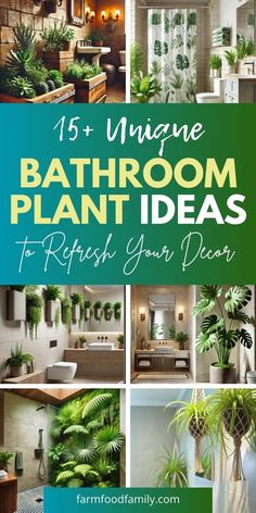 bathroom decor with green plants in the center and text overlay that reads 15 unique bathroom plant ideas to refresh your home