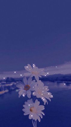 some white flowers are in a vase on a table near the water at night time