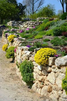 a stone wall with flowers growing on it