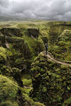 a man standing on top of a lush green cliff next to a forest filled with trees