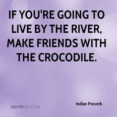 the quote if you're going to live by the river, make friends with the crocodile