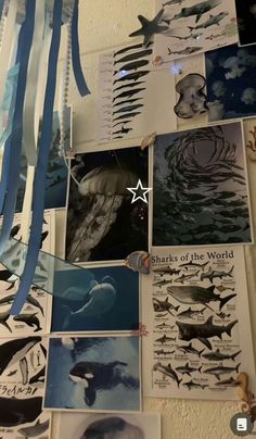 many pictures are hanging on the wall with blue streamers in front of them and one star above it