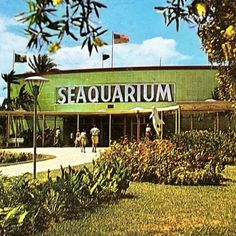 an old photo of the seaquarium in florida, with people walking around it