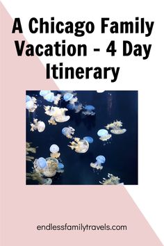 the chicago family vacation - 4 day itinerary is featured in this postcard