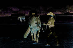 a man is leading a horse in the dark