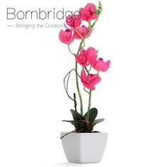 pink flowers are in a white vase on a white background with the words bonmbridge bringing the outdoors