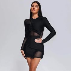 Black, Mesh, Long Sleeve Mini Dress. Zip Closure. Black Sheer Bodycon Dress For Club, Chic Black Sheer Bodycon Dress, Black Bodycon Mini Dress For Cocktail, Black Sheer Bodycon Dress For Date Night, Black Sheer Mini Dress For Club, Black Sheer Mini Bodycon Dress, Flirty Black Sheer Mini Dress, Black Long Sleeve Mini Dress In Flirty Style, Fitted Black Sheer Mini Dress