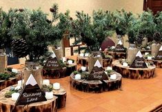 the tables are decorated with pine trees and candles