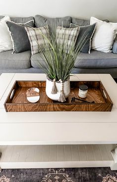 a living room with a couch, coffee table and plants on the tray in front of it